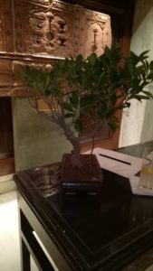 img20170729193307